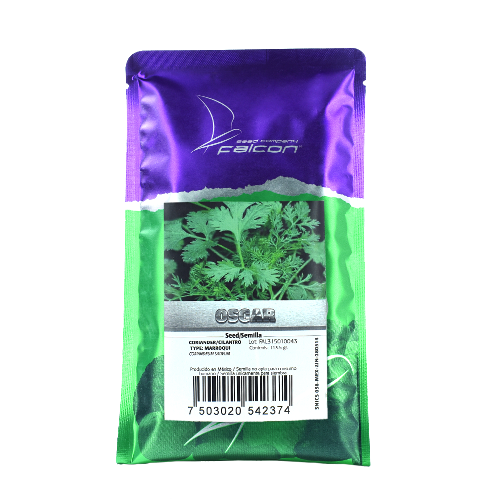 Cilantro PL Oscar Falcon Seeds